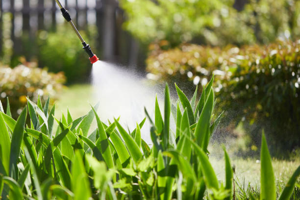 Tamper-Resistant Bait Stations for Rodents in Albert Lea