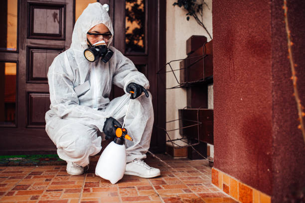 Attic and Crawl Space Rodent Treatment in Albert Lea