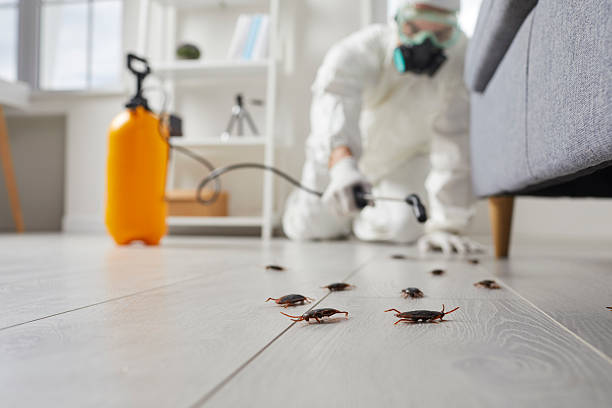 Commercial Rodent Management in Albert Lea